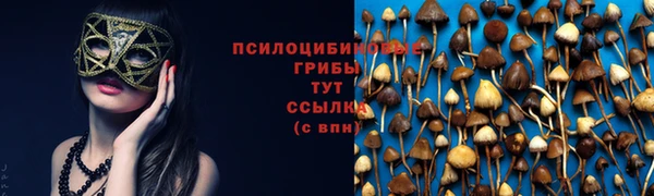 дурь Ельня