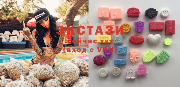 ECSTASY Инсар