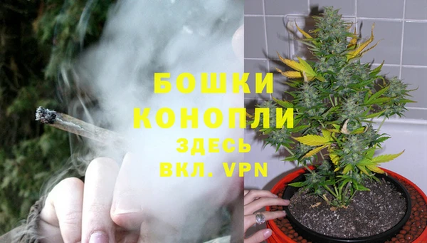 Альфа ПВП Кулебаки