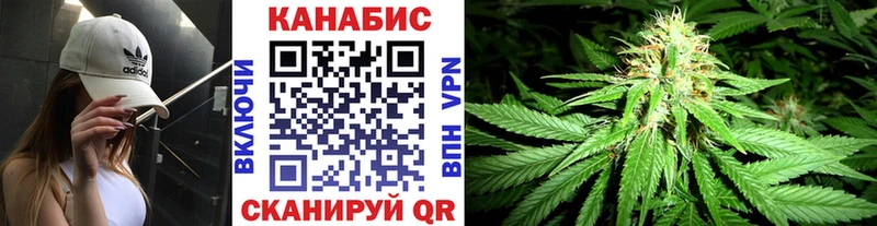darknet телеграм Козловка Бошки марихуана семена
